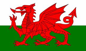 z_welsh_image.jpg